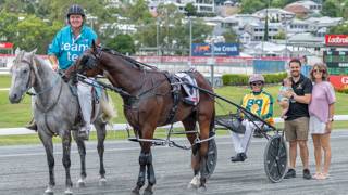 Dashman's harness examination - March 2